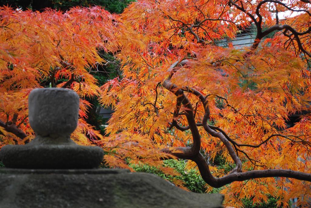 Nishiki-No-Yu Jimotoya Hotel Matsumoto Ngoại thất bức ảnh